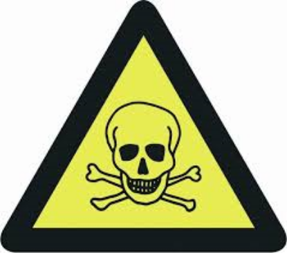 Afbeelding - 1949348-png